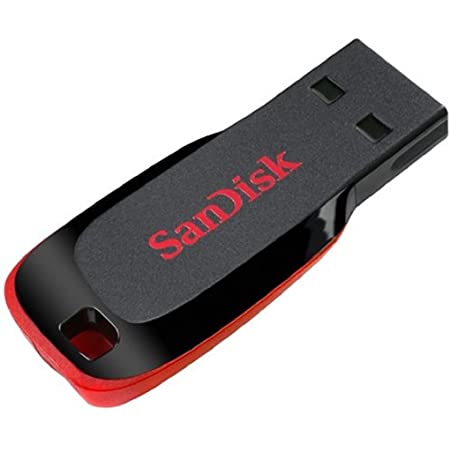 SanDisk USB Cruzer Blade Flash Drive