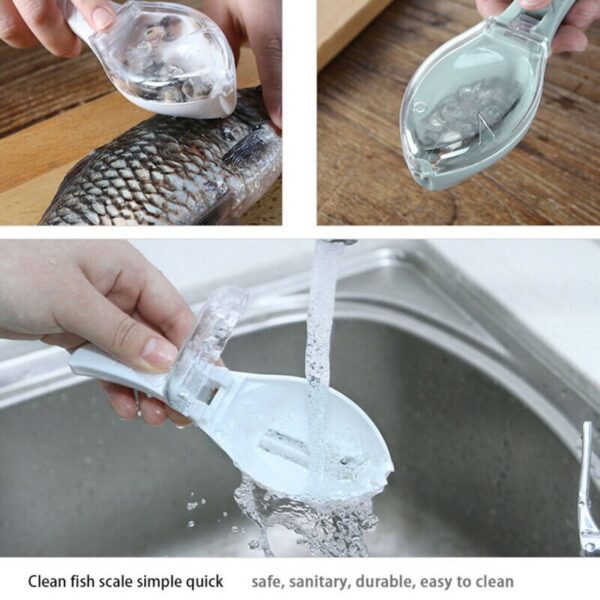 Écailler à poisson pratique – Outil pour écailler