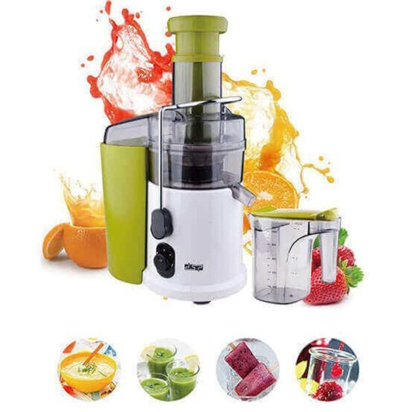 Presse à fruits professionnelle – DSP Extracteur en ligne