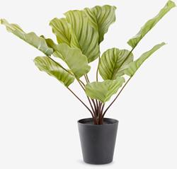 Artificial plant ROLF H55 green